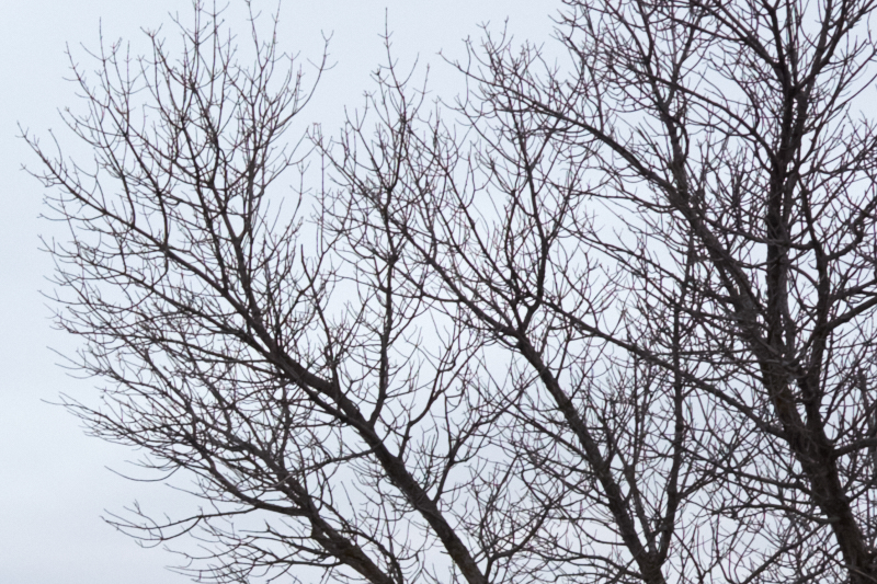 IMAGE: http://diamantstudios.ca/Gemeines/Bilder/Examples/Echo_Lake--001-No_Sharp.jpg