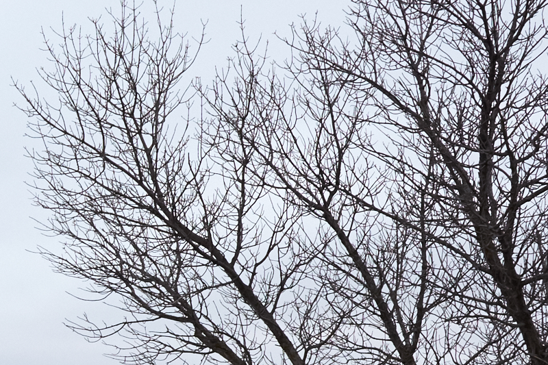 IMAGE: http://diamantstudios.ca/Gemeines/Bilder/Examples/Echo_Lake--001-Sharp.jpg